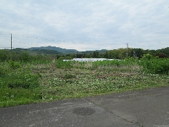  入江