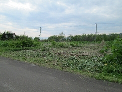  入江