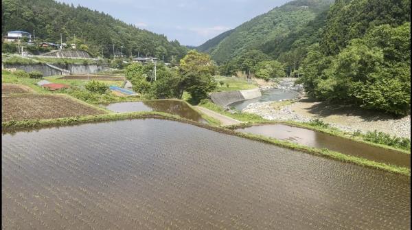 detached 道志村釜之前地区
