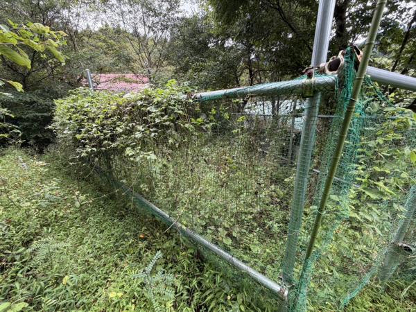 detached 道志村板橋11576