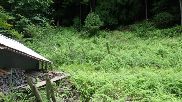 detached 東吉野村大字麥谷