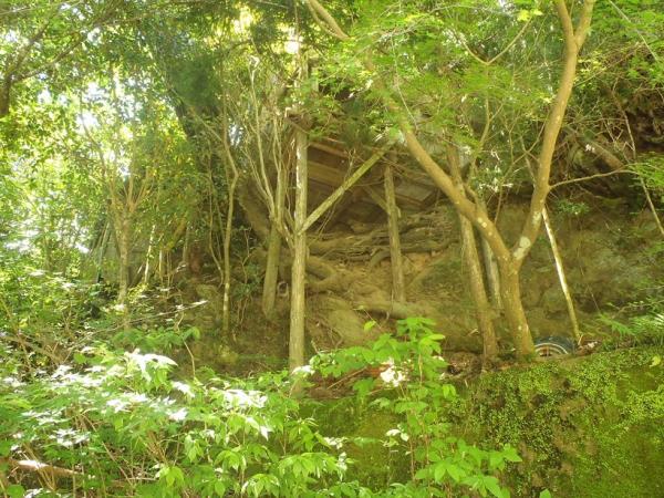 detached 東吉野村大字杉谷