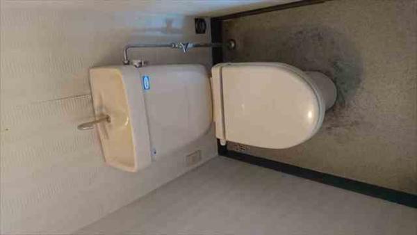 detached 川上97-16-1