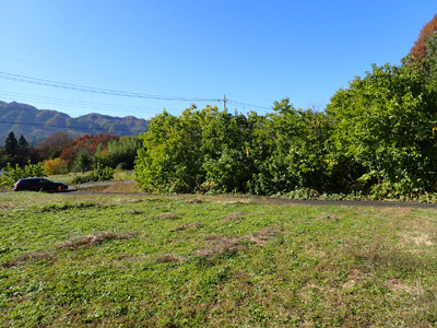 detached 羽場