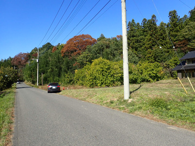 detached 羽場