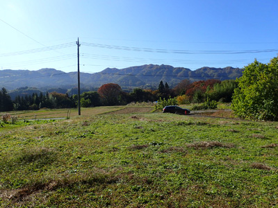 detached 羽場