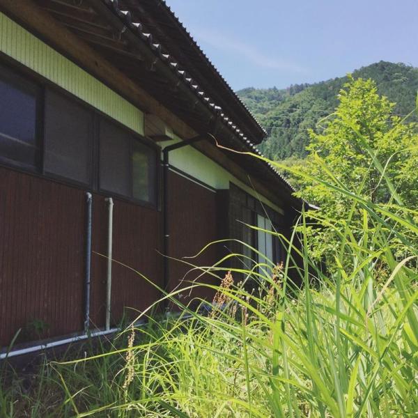 detached 根尾板所